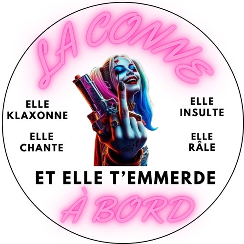 Stickers pour voiture conasse - stickers,