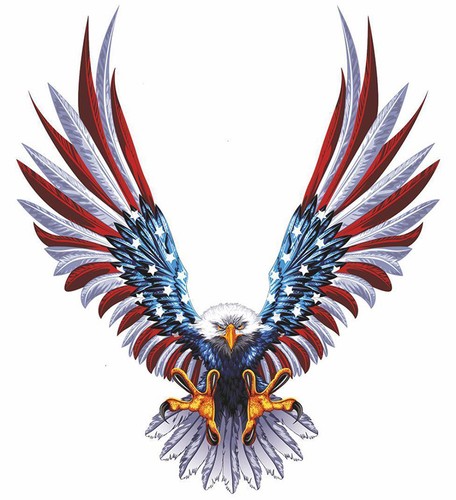 Aigle usa 30cm autocollant - aigle,
